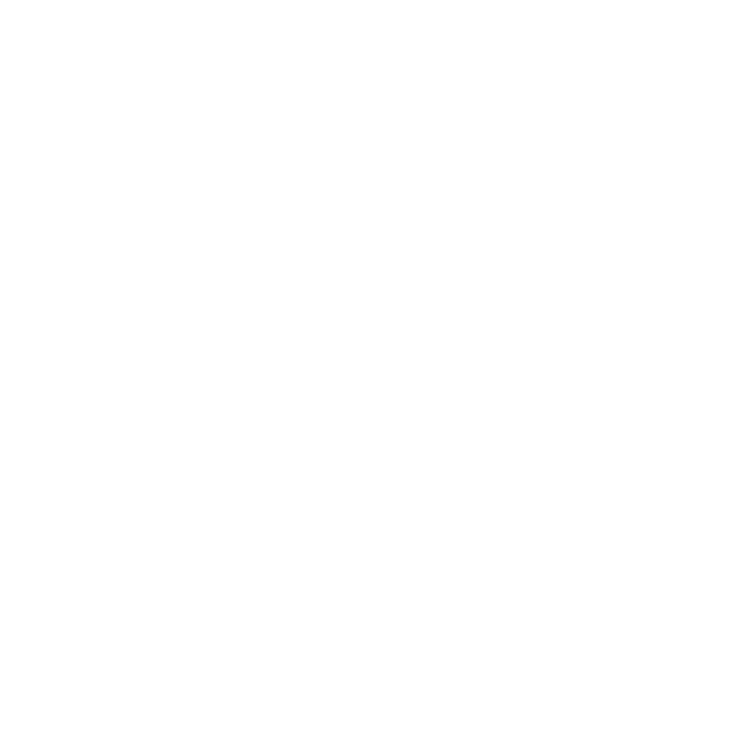 Gillian Segal Logo